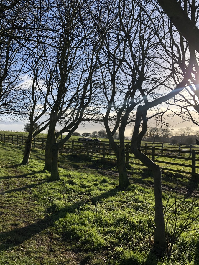 Brigg Country Park